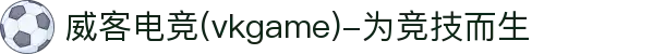 威客电竞(vkgame)-为竞技而生